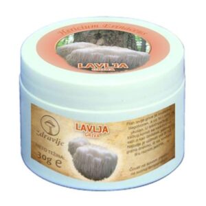 Lavlja griva u prahu 30g Medical Herbs